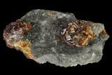 Translucent Sphalerite Crystals on Druzy Quartz - China #146674-1